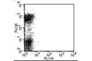 Image no. 1 for anti-Fc Fragment of IgE, Low Affinity II, Receptor For (CD23) (FCER2) antibody (FITC) (ABIN476623) (FCER2 antibody  (FITC))
