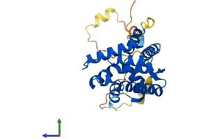 Protein Structure (PS) image for Nuclear Receptor Subfamily 0, Group B, Member 2 (NR0B2) (AA 1-257) protein (His tag) (ABIN7549923)