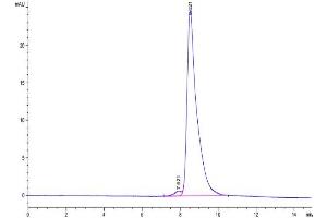 The purity of Mouse CPM is greater than 95 % as determined by SEC-HPLC.
