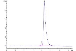 The purity of Mouse CPM is greater than 95 % as determined by SEC-HPLC. (CPM Protein (AA 18-423) (His tag))