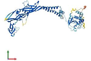 Protein Structure (PS) image for Purinergic Receptor P2X, Ligand-Gated Ion Channel, 7 (P2RX7) (AA 1-595) protein (His tag) (ABIN7554848)