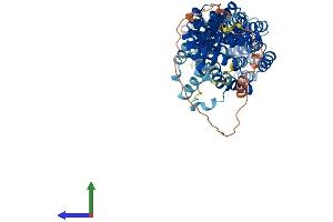 AlphaFold protein structure predicition of Human Recombinant CDC16 Protein, UniprotID Q13042 (CDC16 Protein (AA 1-620) (His tag))