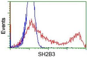 HEK293T cells transfected with either RC218359 overexpress plasmid (Red) or empty vector control plasmid (Blue) were immunostained by anti-SH2B3 antibody (ABIN2454696), and then analyzed by flow cytometry. (SH2B3 antibody)