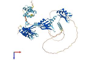 AlphaFold protein structure predicition of Human Recombinant PABPC1L Protein, UniprotID Q4VXU2 (PABPC1L Protein (AA 1-614) (His tag))