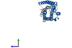 Protein Structure (PS) image for G Protein-Coupled Receptor 35 (GPR35) (AA 1-307) protein (His tag) (ABIN7561463)