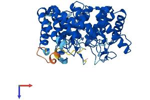 LanC Lantibiotic Synthetase Component C-Like 3 (LANCL3) (AA 1-420) protein (His tag)
