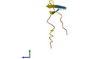 AlphaFold protein structure predicition of Human Recombinant KRTAP20-4 Protein, UniprotID Q3LI62 (KRTAP20-4 Protein (AA 1-44) (Fc Tag))