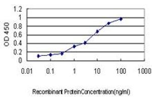 Detection limit for recombinant GST tagged FBXL18 is approximately 0. (FBXL18 antibody  (AA 1-110))