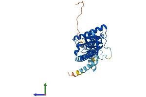 AlphaFold protein structure predicition of Human Recombinant GIMAP4 Protein, UniprotID Q9NUV9