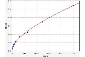Typical standard curve (CAPN2 ELISA Kit)