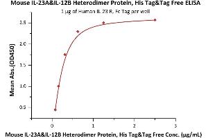 IL12A & IL27B (AA 22-196) (Active) protein (His tag)