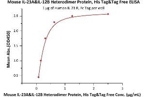 Immobilized Human IL-23 R, Fc Tag (ABIN6731281,ABIN6809891) at 10 μg/mL (100 μL/well) can bind Mouse IL-23A&IL-12B Heterodimer Protein, His Tag&Tag Free (ABIN4949174,ABIN4949175) with a linear range of 0.