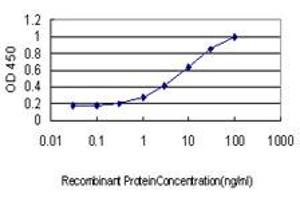 Detection limit for recombinant GST tagged STK17B is approximately 0. (DRAK2 antibody  (AA 272-372))