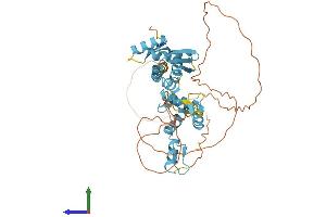 AlphaFold protein structure predicition of Human Recombinant ZBTB6 Protein, UniprotID Q15916 (ZBTB6 Protein (AA 1-424) (His tag))