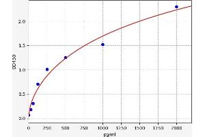 SLC19A1 ELISA Kit