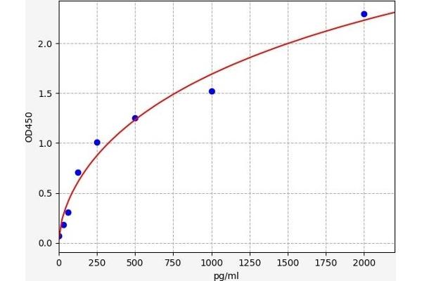SLC19A1 ELISA Kit