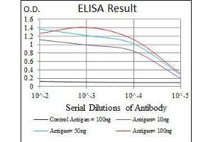 Black line: Control Antigen (100 ng), Purple line: Antigen(10 ng), Blue line: Antigen (50 ng), Red line: Antigen (100 ng), (EIF4B antibody)