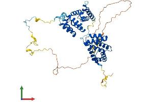 Protein Structure (PS) image for Programmed Cell Death 4 (PDCD4) (AA 1-469) protein (His tag) (ABIN7557739)