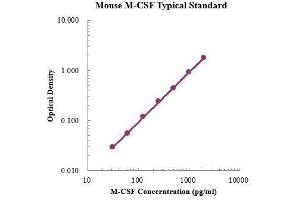 ELISA image for Colony Stimulating Factor 1 (Macrophage) (CSF1) ELISA Kit (ABIN3198466)