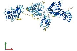 AlphaFold protein structure predicition of Mouse Recombinant Nsf Protein, UniprotID P46460