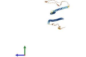 AlphaFold protein structure predicition of Human Recombinant KRT25 Protein, UniprotID Q7Z3Z0