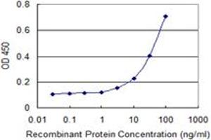 Detection limit for recombinant GST tagged ADAM30 is 1 ng/ml as a capture antibody. (ADAM30 antibody  (AA 199-298))