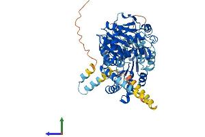 Protein Structure (PS) image for DEAD (Asp-Glu-Ala-Asp) Box Polypeptide 55 (DDX55) (AA 1-600) protein (His tag) (ABIN7547068)