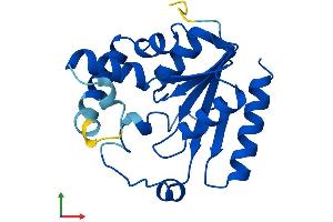 Protein Structure (PS) image for Phosphomevalonate Kinase (PMVK) (AA 1-192) protein (His tag) (ABIN7550857)