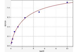 SLC7A11 ELISA Kit