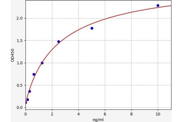 SLC7A11 ELISA Kit