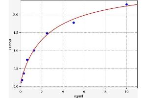 Typical standard curve (SLC7A11 ELISA Kit)