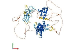 AlphaFold protein structure predicition of Human Recombinant ORC1 Protein, UniprotID Q13415
