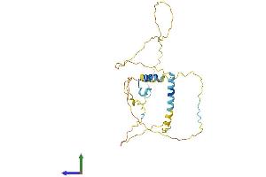 AlphaFold protein structure predicition of Mouse Recombinant Ermn Protein, UniprotID Q5EBJ4