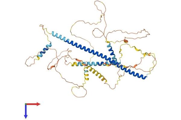 HDAC9 Protein (AA 1-588) (His tag)