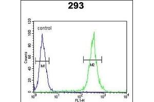 UNC13B Antibody (Center) (ABIN652852 and ABIN2842552) flow cytometric analysis of 293 cells (right histogram) compared to a negative control cell (left histogram). (UNC13B antibody  (AA 1062-1091))