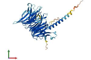 AlphaFold protein structure predicition of Human Recombinant KPTN Protein, UniprotID Q9Y664