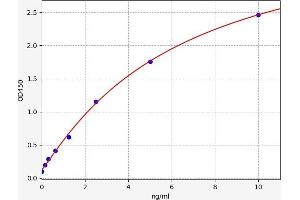 CCR7 ELISA Kit