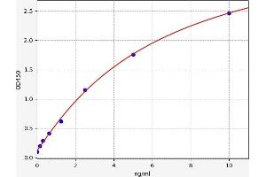 Typical standard curve (CCR7 ELISA Kit)