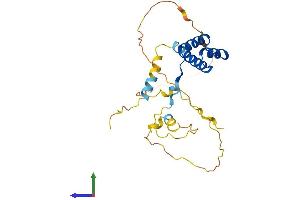 AlphaFold protein structure predicition of Mouse Recombinant Emx1 Protein, UniprotID Q04742