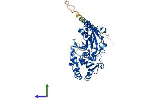 AlphaFold protein structure predicition of Human Recombinant FUT3 Protein, UniprotID P21217