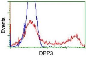 Flow Cytometry (FACS) image for anti-Dipeptidyl-Peptidase 3 (DPP3) antibody (ABIN1497831) (DPP3 antibody)