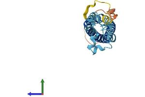 Protein Structure (PS) image for Transmembrane 4 Superfamily Member 4 (TM4SF4) (AA 1-202) protein (His tag) (ABIN7544221)