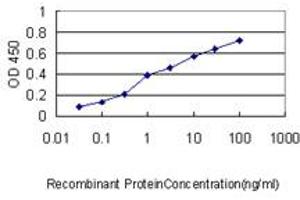 Detection limit for recombinant GST tagged LRRFIP1 is approximately 0. (LRRFIP1 antibody  (AA 1-105))