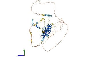 Protein Structure (PS) image for Leiomodin 1 (LMOD1) (AA 1-595) protein (His tag) (ABIN7558917)