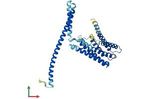 AlphaFold protein structure predicition of Human Recombinant TMEM120A Protein, UniprotID Q9BXJ8 (TMEM120A Protein (AA 1-343) (His tag))