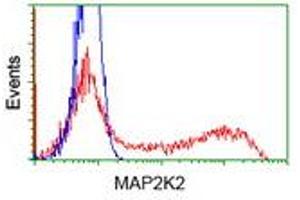 Flow Cytometry (FACS) image for anti-Mitogen-Activated Protein Kinase Kinase 2 (MAP2K2) antibody (ABIN1499476) (MEK2 antibody)