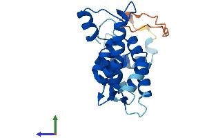 AlphaFold protein structure predicition of Mouse Recombinant Sri Protein, UniprotID Q6P069