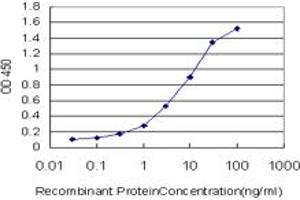 Detection limit for recombinant GST tagged CLCA1 is approximately 0.