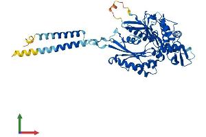 Protein Structure (PS) image for Ectonucleoside Triphosphate diphosphohydrolase 1 (ENTPD1) (AA 1-510) protein (His tag) (ABIN7556465)