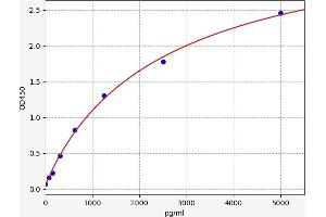 Selectin E (SELE) ELISA Kit